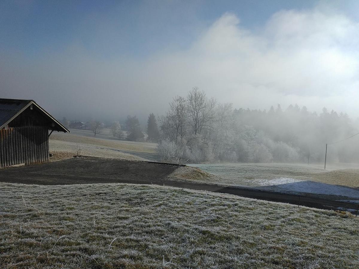 Tolles Einfamilienhaus Nahe Dem Bodensee Vila Lauterach Exterior foto